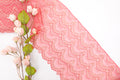 Hot Pink 9" Lace