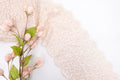 Light Apricot 8" Lace