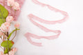 Pink 0.5" Lace Trim