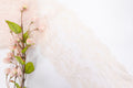 Light Apricot 9.5" Lace