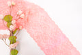 Coral 8" Lace