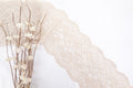 Light Apricot 7" Lace