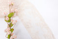 Light Apricot 7.5" Lace