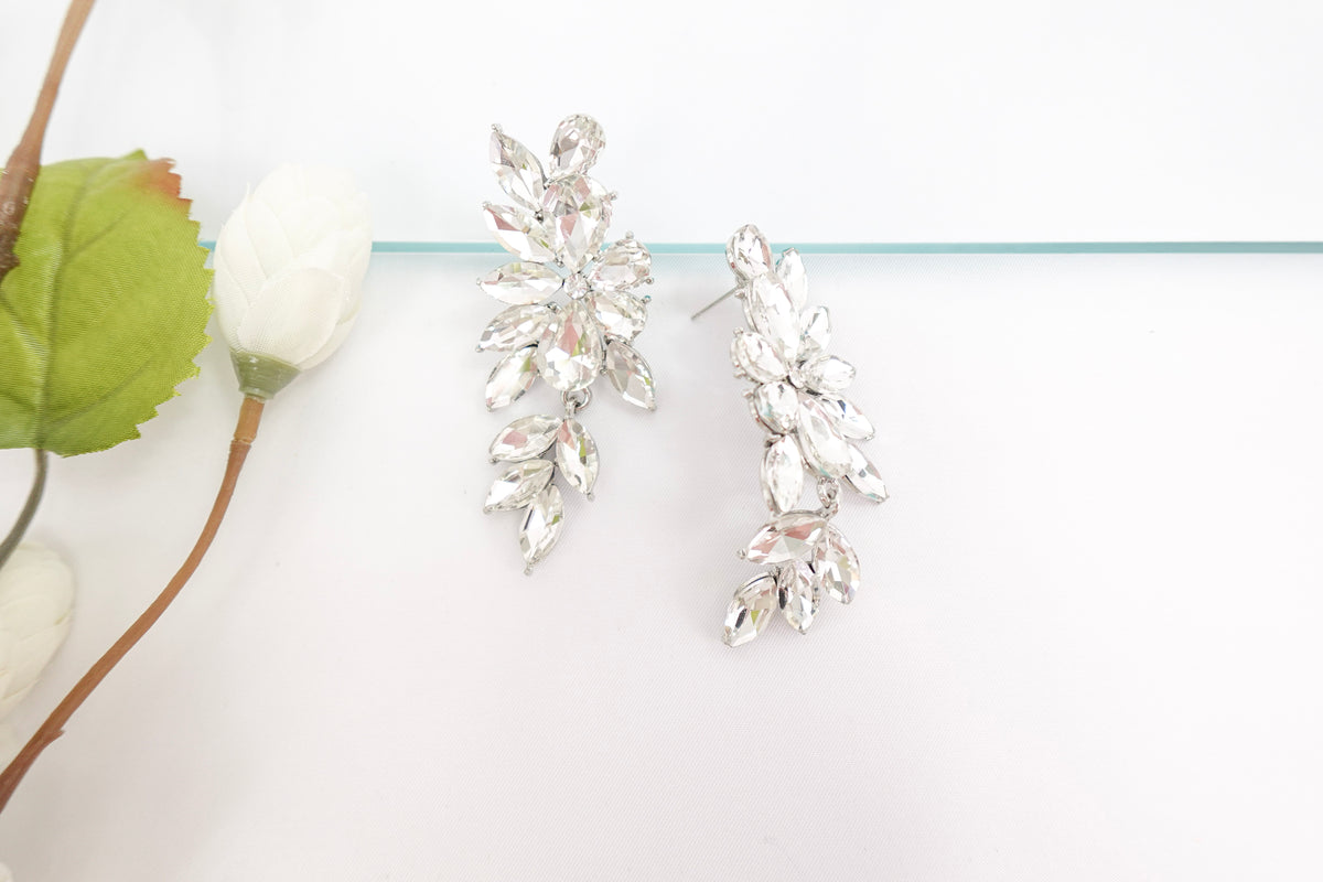 Large Crystal Dangle Earrings