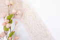 Fairytale Pink 6.75" Lace